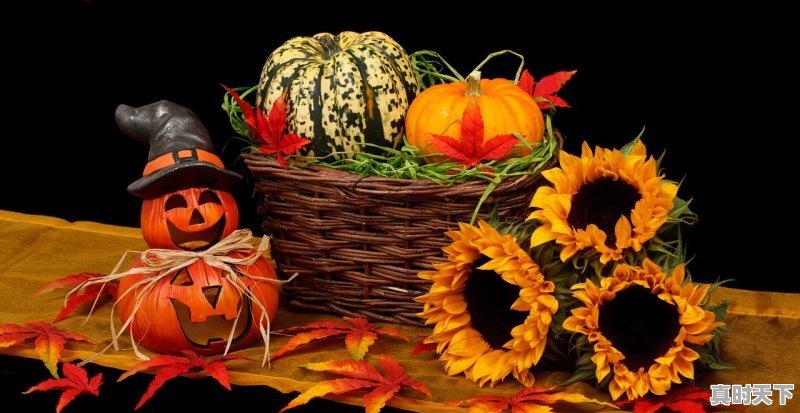 成龙什么时候获得奥斯卡终身成就奖 - 真时天下