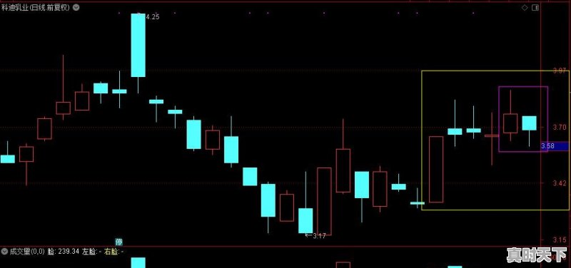 关注很久的股票涨了好几个点了却没买进，该不该追进 - 真时天下