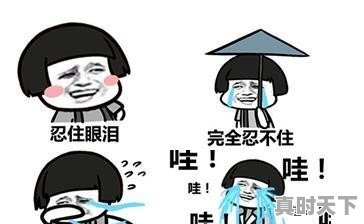 关注很久的股票涨了好几个点了却没买进，该不该追进 - 真时天下