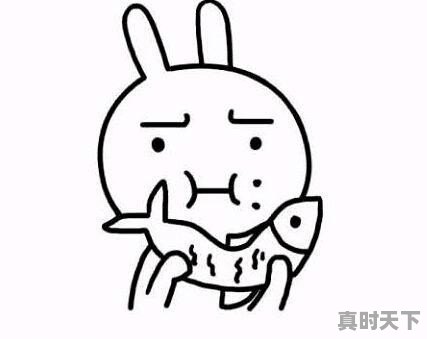 关注很久的股票涨了好几个点了却没买进，该不该追进 - 真时天下