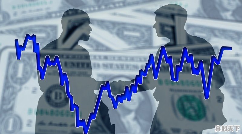 在期货交易中，如何做长线单？面对短期的利润回撤，你会怎么办 - 真时天下