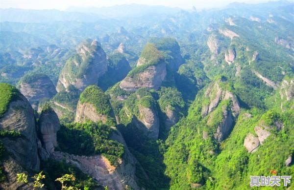 邵阳花卉市场今日价格 - 真时天下