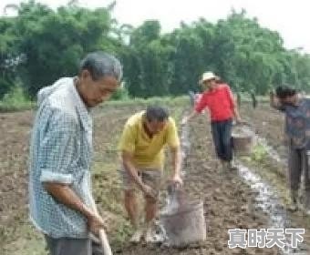 这几天都拿农民跟工人比，大家咋看 - 真时天下