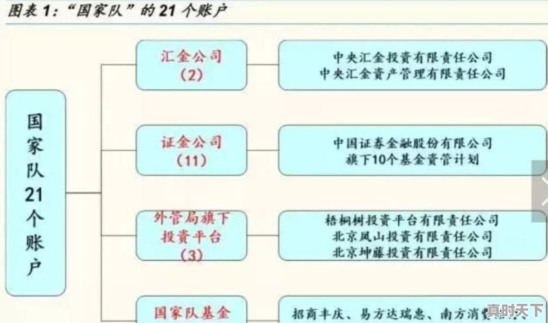 股市的国家队包括哪些机构 - 真时天下