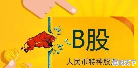 什么是股票？股票有什么特性 - 真时天下