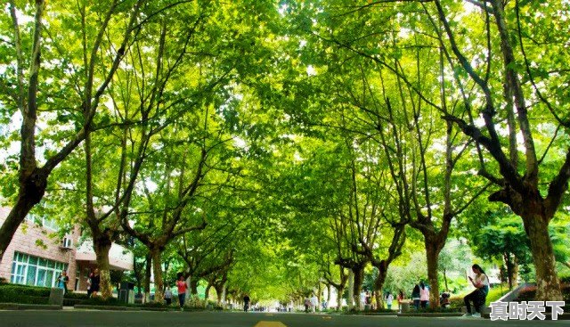 四川大学匹兹堡学院怎么样 - 真时天下