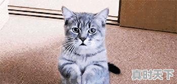 股市里的年线月线日线，今年都变高了是怎么回事 - 真时天下