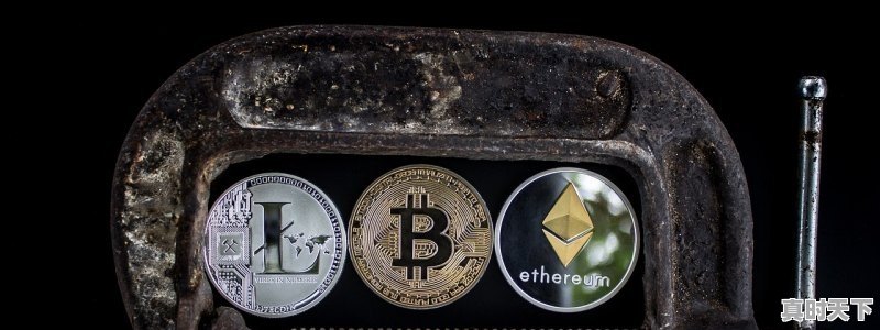 桥水首席投资官:金价有望上涨30%,达到2000美元/盎司,对此你怎么看 - 真时天下