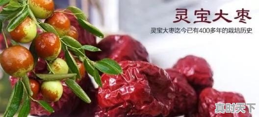 丹参哪个产地比较好，怎么样呢 - 真时天下