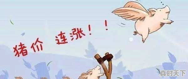 今年春节55一斤的熟牛肉是真牛肉吗 - 真时天下