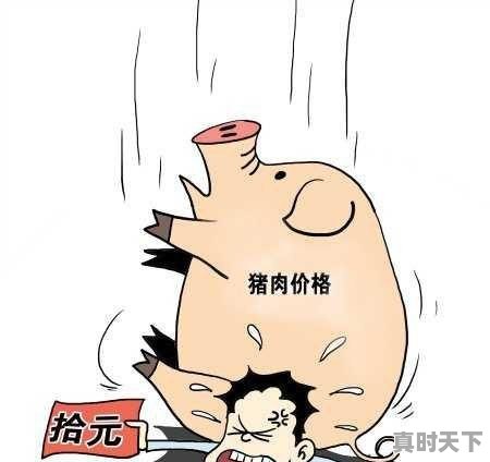 今年春节55一斤的熟牛肉是真牛肉吗 - 真时天下