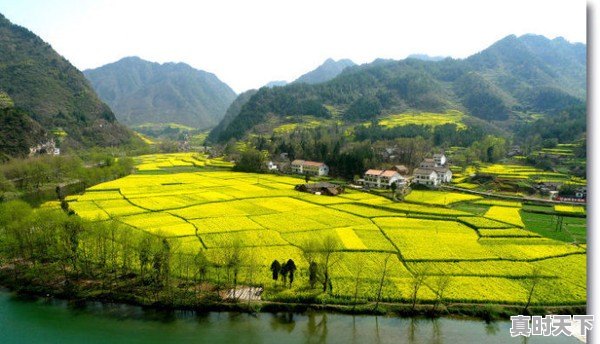 江油会不会成为绵阳的一个区 - 真时天下