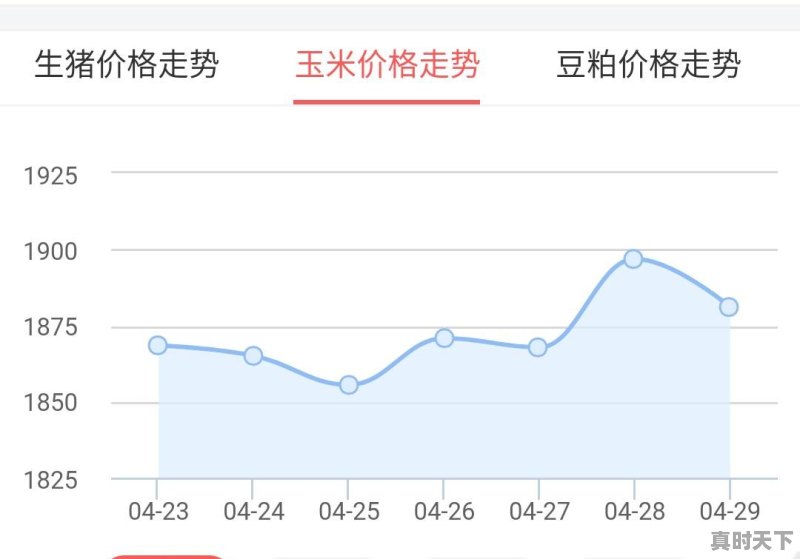 今日莱阳玉米价格 - 真时天下