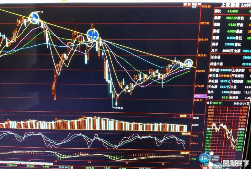 作为一个普通人，靠股票投资可以实现财务自由吗？身边有没有这样的例子，他是怎样做到的 - 真时天下