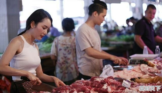 2019年养猪是否能赚钱？还要不要坚持下去 - 真时天下