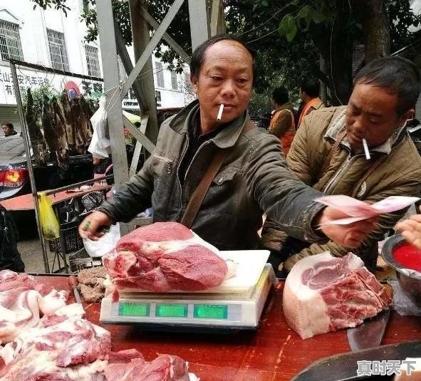 猪肉价格为何持续下降？ - 真时天下