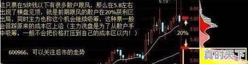 股票买卖怎么操作？需要注意什么 - 真时天下