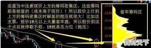 股票买卖怎么操作？需要注意什么 - 真时天下