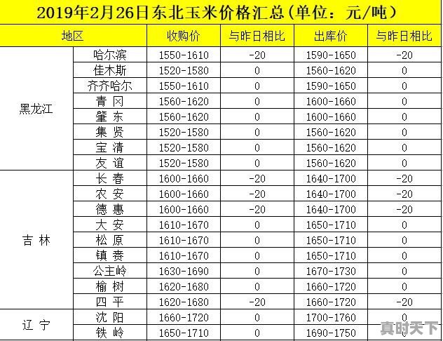 山东近日玉米价格不断下跌是怎么回事 - 真时天下