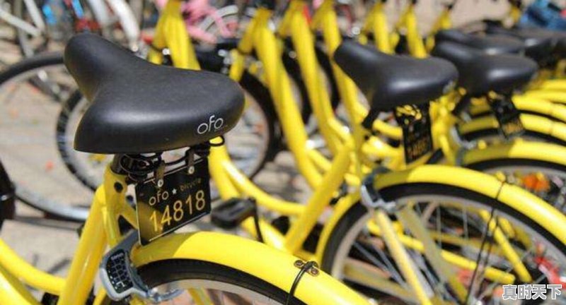 几年之后，汉中客流量大了，汉中站一直爆满，汉中会再建一座高铁站吗 - 真时天下