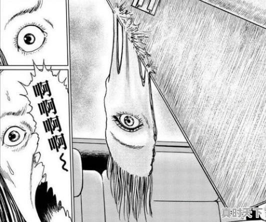 你看过哪些毁三观的动漫 - 真时天下