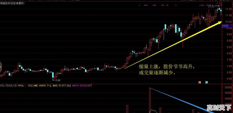 股市里的庄家一般掌握多少比例的筹码才会拉升股价呢 - 真时天下