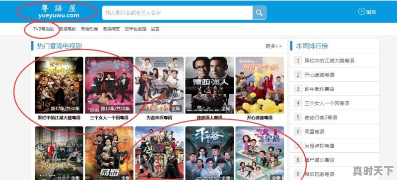 陈浩民爱奇艺最新电影有哪些 - 真时天下