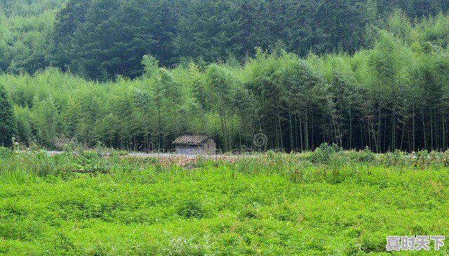 宁国一周天气 - 真时天下