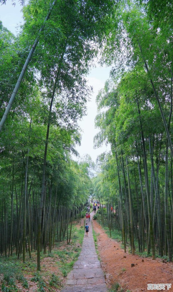 宁国一周天气 - 真时天下