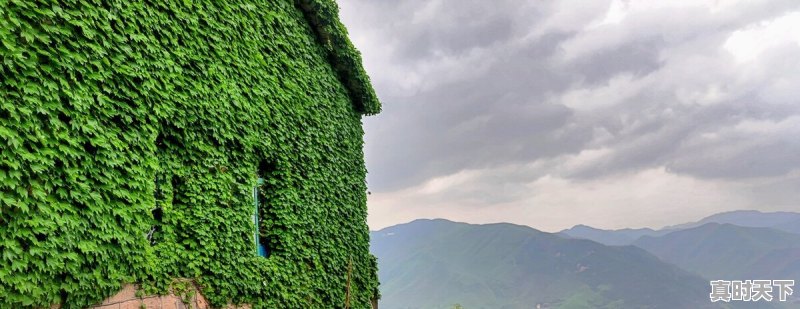 宁国一周天气 - 真时天下