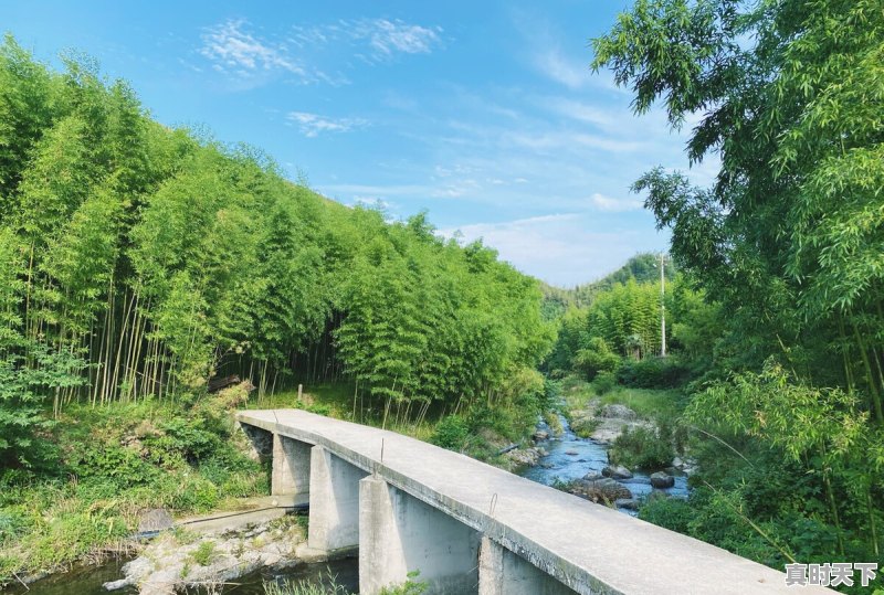 宁国一周天气 - 真时天下