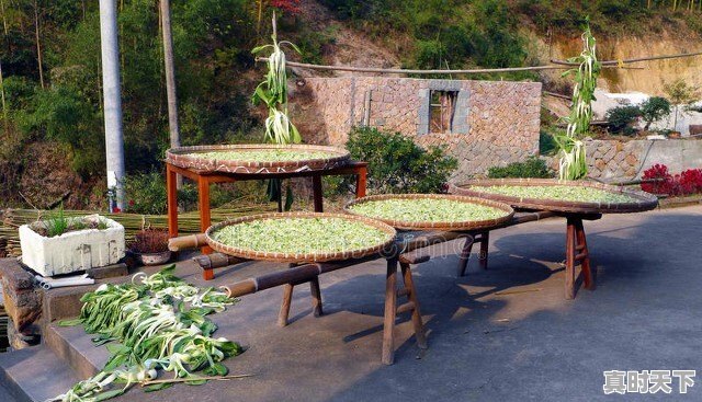 宁国一周天气 - 真时天下