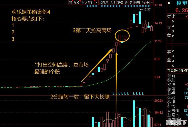 用什么方法可以选出一支第二天能大幅上涨的股票 - 真时天下