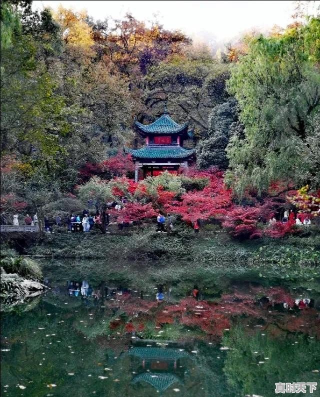 中国天气十天 - 真时天下