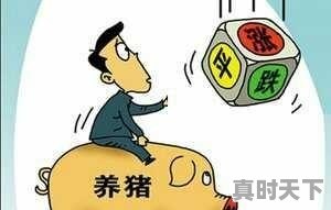 为什么最近沧州的白萝卜价格普遍上涨 - 真时天下