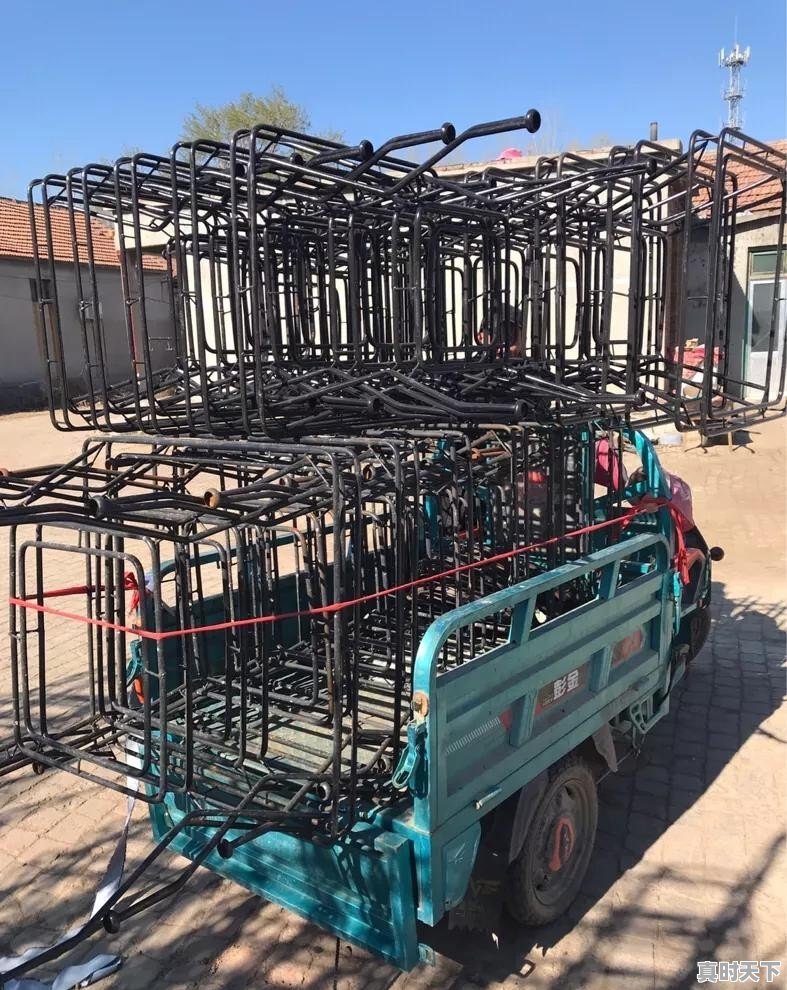 在农村做什么加工厂比较挣钱 - 真时天下