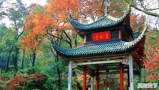 你试过哪些好吃的隔夜菜吗 - 真时天下