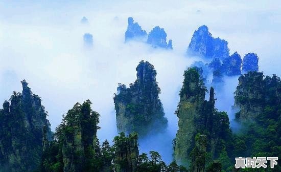 你试过哪些好吃的隔夜菜吗 - 真时天下