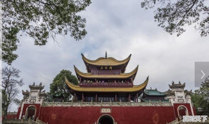 你试过哪些好吃的隔夜菜吗 - 真时天下