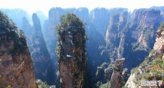 你试过哪些好吃的隔夜菜吗 - 真时天下