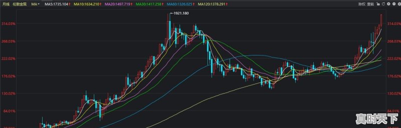 金价猛涨预示了什么 - 真时天下