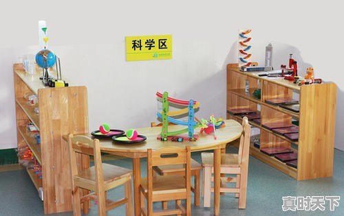 幼儿园科学活动会发生在哪些领域 - 真时天下