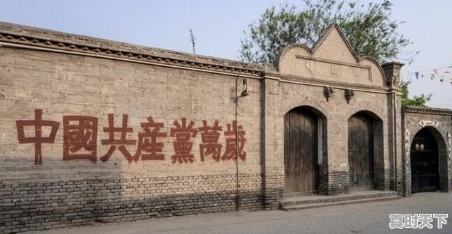 高碑店：逃跑偷车贼遇民警，如实交代被刑拘, 你怎么看 - 真时天下