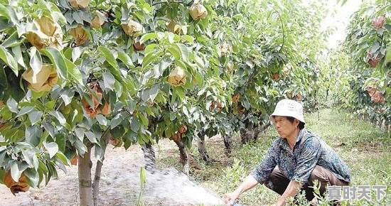 想去新疆旅游，该如何规划线路 - 真时天下