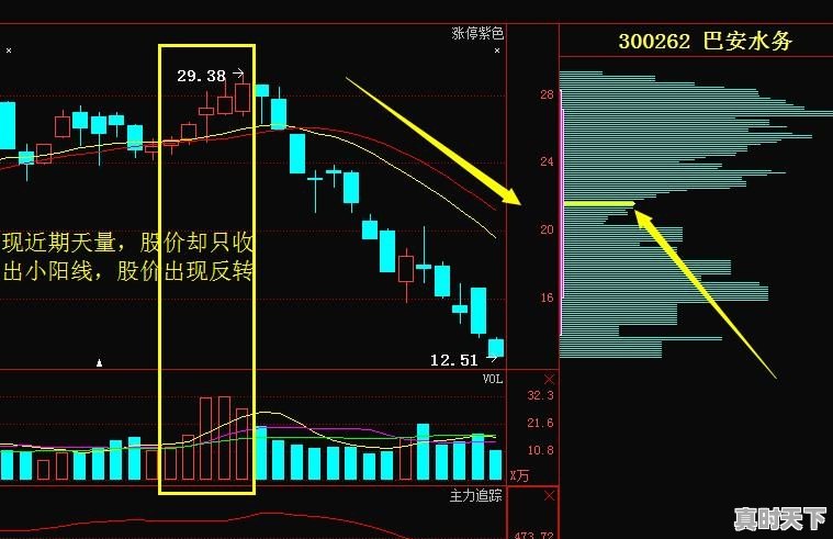 股票如何看量多少 - 真时天下