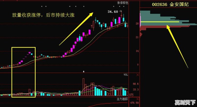 股票如何看量多少 - 真时天下