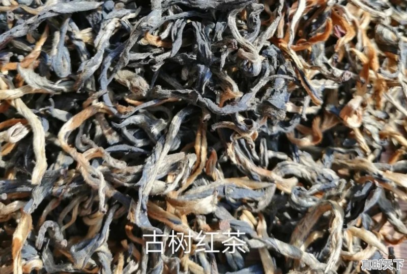 一万六的普洱茶什么档次 - 真时天下