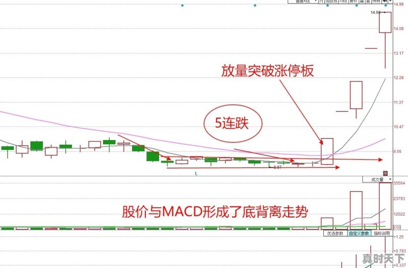 如何在股票连跌不止之后第一时间把握机会 - 真时天下