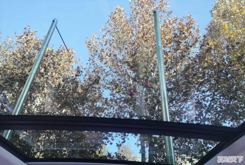 想买台小SUV，看中了缤智、xrv和大众途铠，哪款更值得购买 - 真时天下