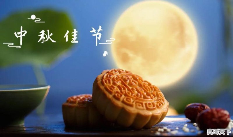 明日进七九，“七九河开，雪打七九头”有啥预兆？农村谚语咋说的 - 真时天下